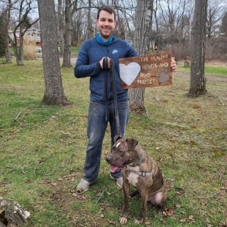 Illustration de l'article : "7 ans, c’est bien trop long à attendre", l’appel d'un refuge pour offrir un foyer à un chien qui y a passé toute sa vie