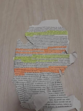 Illustration de l'article : Au lieu de s’occuper avec ses jouets flambants neufs, cette petite chatte dévore le devoir étudiant de son humain 