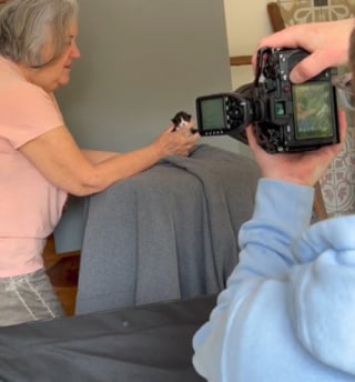 Illustration de l'article : Ce splendide Maine Coon a été photographié tous les mois de sa naissance à son adolescence (vidéo)