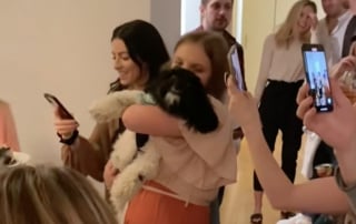 Illustration de l'article : Adoptés séparément, ces 2 chiens se croisent par hasard et se reconnaissent aussitôt comme frère et sœur (vidéo)