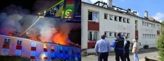 Illustration de l'article : "Tu mérites une médaille", ce chien alerte ses voisins en pleine nuit et sauve 14 vies d’un incendie