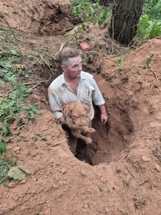Illustration de l'article : Coincé 4 jours sous terre, un chien retrouve la surface et sa famille grâce à une mobilisation extraordinaire