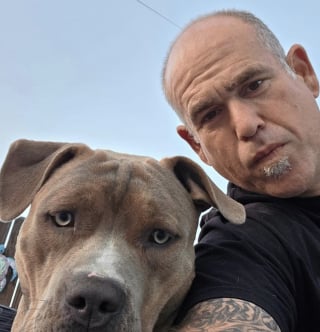 Illustration de l'article : « Je ne peux pas le rendre », la note déchirante qui se trouvait à côté de ce chien attaché à un poteau en dit long sur sa détresse