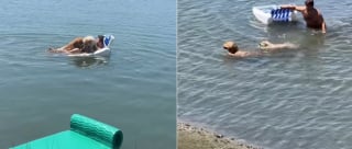 Illustration de l'article : 2 Golden Retrievers paniquent en voyant leur maître "en danger" sur une chaise flottante et sautent à l'eau pour le sauver (vidéo)