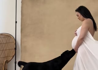 Illustration de l'article : Cette maman est émue lorsqu’elle comprend que son chien sait parfaitement qu’elle attend un heureux événement (vidéo)
