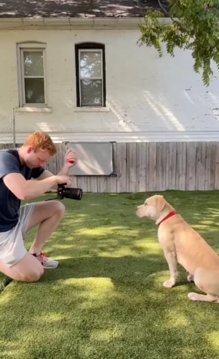 Illustration de l'article : L'amour frappe à la porte d'un refuge pour une chienne en pleine séance photo censée l'aider à rebondir