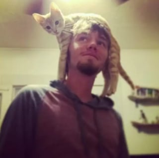 Illustration de l'article : 17 photos hilarantes de chats qui prennent leurs maîtres pour des perchoirs