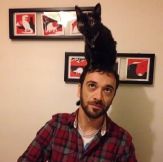 Illustration de l'article : 17 photos hilarantes de chats qui prennent leurs maîtres pour des perchoirs