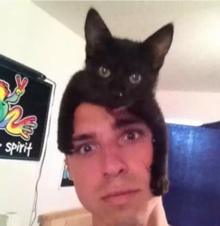 Illustration de l'article : 17 photos hilarantes de chats qui prennent leurs maîtres pour des perchoirs