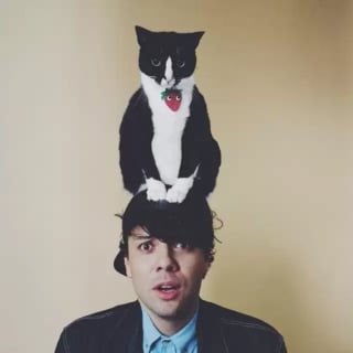 Illustration de l'article : 17 photos hilarantes de chats qui prennent leurs maîtres pour des perchoirs