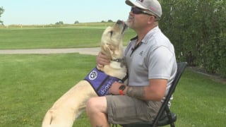 Illustration de l'article : Grâce à l’instinct de son Labrador, un ancien militaire échappe à un AVC qui aurait pu lui être fatal (vidéo)