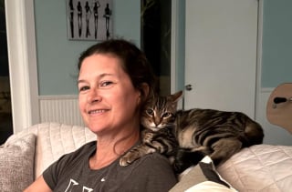 Illustration de l'article : Elle vend son vieux canapé en ligne sans savoir que son chat s’était caché à l’intérieur (vidéo)