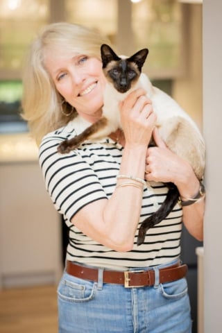 Illustration de l'article : Ce chat patient et amical joue un rôle clé dans la formation des chiens d'assistance pour personnes sourdes