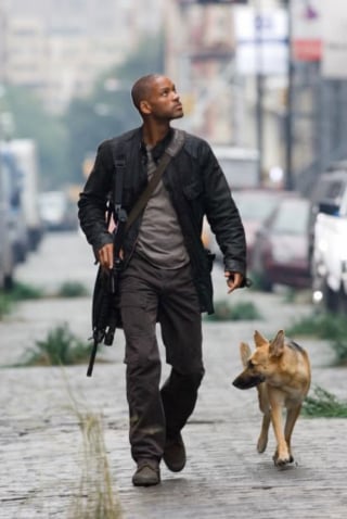 Illustration de l'article : Très attaché à la chienne avec qui il a joué dans le film "Je suis une légende", Will Smith décide de lui rendre un hommage poignant (vidéo)