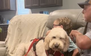 Illustration de l'article : Les retrouvailles pleines d’émotions entre un petit garçon autiste et sa chienne d’assistance qui vient de suivre une formation de 4 mois pour l'aider dans son quotidien (vidéo)