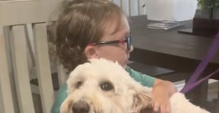 Illustration de l'article : Les retrouvailles pleines d’émotions entre un petit garçon autiste et sa chienne d’assistance qui vient de suivre une formation de 4 mois pour l'aider dans son quotidien (vidéo)