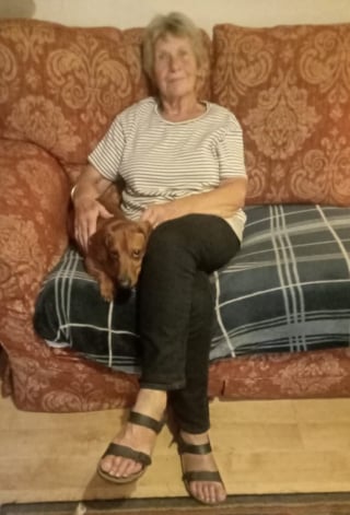 Illustration de l'article : « On s'en souvient à jamais », après 3 longues années d’absence, un chien volé retrouve enfin sa famille 