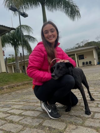 Illustration de l'article : 16 photos montrant l’importance d’une promenade pour les chiens de refuge