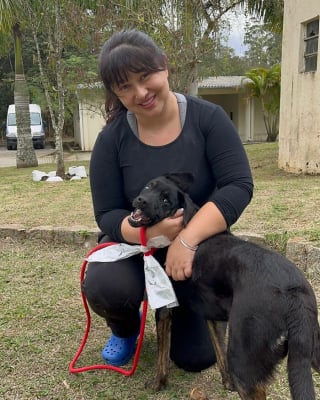 Illustration de l'article : 16 photos montrant l’importance d’une promenade pour les chiens de refuge
