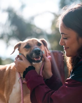 Illustration de l'article : 16 photos montrant l’importance d’une promenade pour les chiens de refuge