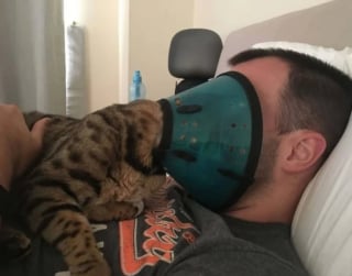 Illustration de l'article : 12 photos de chats et de chiens particuli&egrave;rement attendrissantes