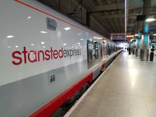 Illustration de l'article : « Je me demande où il pensait aller ? », un chat trop curieux monte seul dans le train et se retrouve au terminal de l’aéroport local