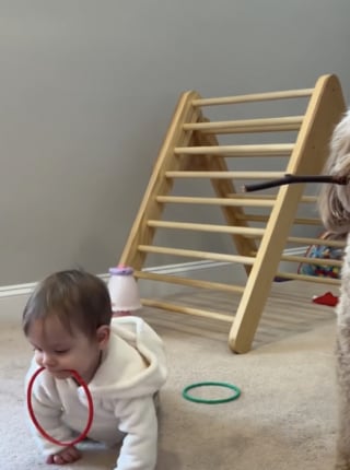 Illustration de l'article : Une fillette noue une relation unique avec le chien de sa famille et imite ses comportements de manière adorable (vidéo)