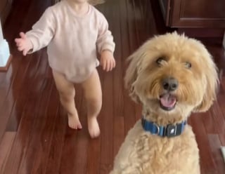 Illustration de l'article : Une fillette noue une relation unique avec le chien de sa famille et imite ses comportements de manière adorable (vidéo)