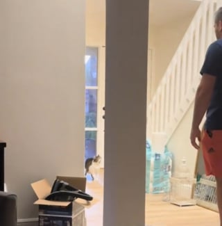 Illustration de l'article : La réaction hilarante d'une chatte tombant sur le sosie de son humain en rentrant chez elle (vidéo)