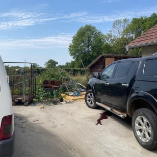 Illustration de l'article : "Dépit et colère" après le sauvetage de 5 chiens et un chat qui menaient une vie de misère chez leur propriétaire récidiviste