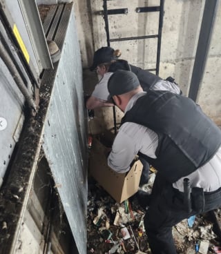 Illustration de l'article : Habitants et sauveteurs professionnels font tout leur possible pour sauver un chat maigre coincé dans une cage d'ascenseur