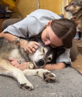 Illustration de l'article : Désormais trop âgé pour se lever tôt, cet adorable papy Husky refuse obstinément de se réveiller pour accompagner son maître au travail (vidéo)