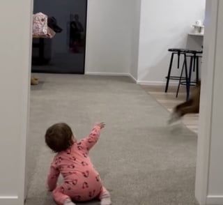 Illustration de l'article : « Le meilleur son du monde », ce bébé rit aux éclats dès lors qu’il voit son compagnon canin courir à travers le salon (vidéo)