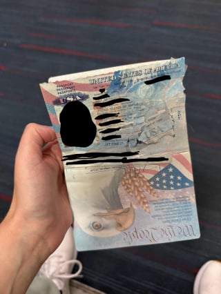 Illustration de l'article : La course folle d’une famille dont le chien a détruit un passeport 12 heures avant son départ en vacances 