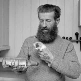 Illustration de l'article : 18 photos anciennes dont le héros est toujours un chat