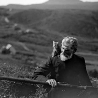 Illustration de l'article : 18 photos anciennes dont le héros est toujours un chat