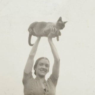 Illustration de l'article : 18 photos anciennes dont le héros est toujours un chat