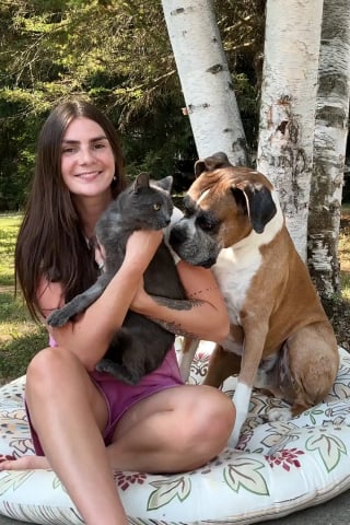 Illustration de l'article : Renversé par une voiture et grièvement blessé, ce chat errant devait être euthanasié jusqu’à ce qu’un appel redonne espoir à sa sauveuse (vidéo)