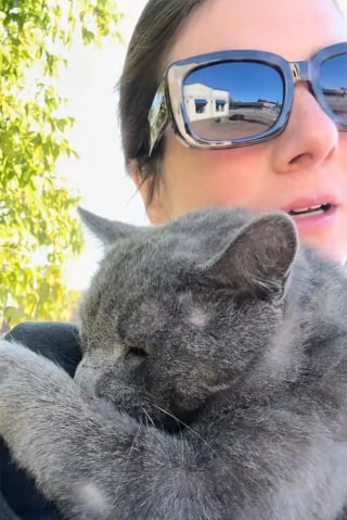 Illustration de l'article : Renversé par une voiture et grièvement blessé, ce chat errant devait être euthanasié jusqu’à ce qu’un appel redonne espoir à sa sauveuse (vidéo)