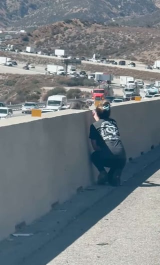 Illustration de l'article : Une famille met fin à son voyage plus tôt que prévu pour sauver la vie d’un chaton rencontré au milieu des embouteillages