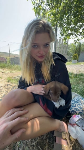 Illustration de l'article : Après avoir découvert des chiots abandonnés pendant ses vacances, un couple lutte pour ramener la seule rescapée de la portée à la maison