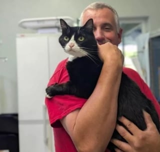 Illustration de l'article : Disparu après une tempête, un chat d'intérieur retourne auprès des siens grâce aux bénévoles ayant scanné sa puce