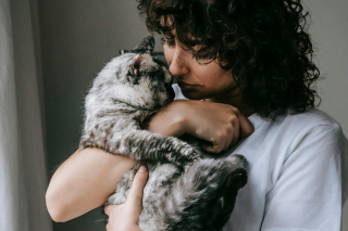 Illustration de l'article : 10 façons subtiles dont les chats vous rassurent sans le savoir