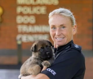 Illustration de l'article : Appelés à intégrer les forces de l'ordre, ces adorables chiots sont nommés en l’honneur de pionnières de la police