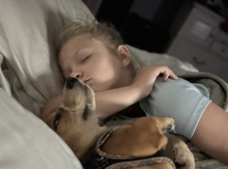 Illustration de l'article : Bâillonné avec un serre-câble pour avoir simplement aboyé, un chiot apprend enfin ce qu’est l’amour véritable (vidéo)