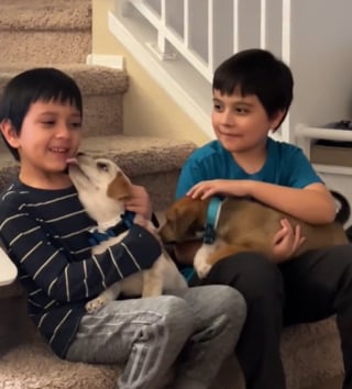 Illustration de l'article : En comprenant que les 2 chiens qu’ils ont accueilli en famille d’accueil sont désormais les leurs, ces enfants ont une réaction très émouvante