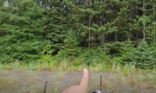 Illustration de l'article : En pleine randonnée sur une île sauvage, un couple tombe nez à nez avec un chat perdu qui n’aurait jamais dû être là