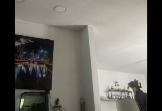 Illustration de l'article : Une jeune femme entend des bruits dans son mur, elle ne s’attendait pas à y trouver 2 adorables chatons (vidéo)
