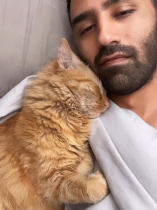 Illustration de l'article : Ce chat de refuge n'osait pas d&eacute;couvrir le monde ext&eacute;rieur jusqu'&agrave; ce que son adoptant emm&eacute;nage dans une maison avec jardin (vid&eacute;o)