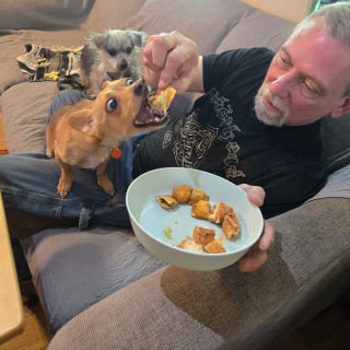 Illustration de l'article : Un policier retrouve un chiot terrifi&eacute; dans une maison abandonn&eacute;e et s&rsquo;assure qu&rsquo;il re&ccedil;oive une seconde chance de bonheur